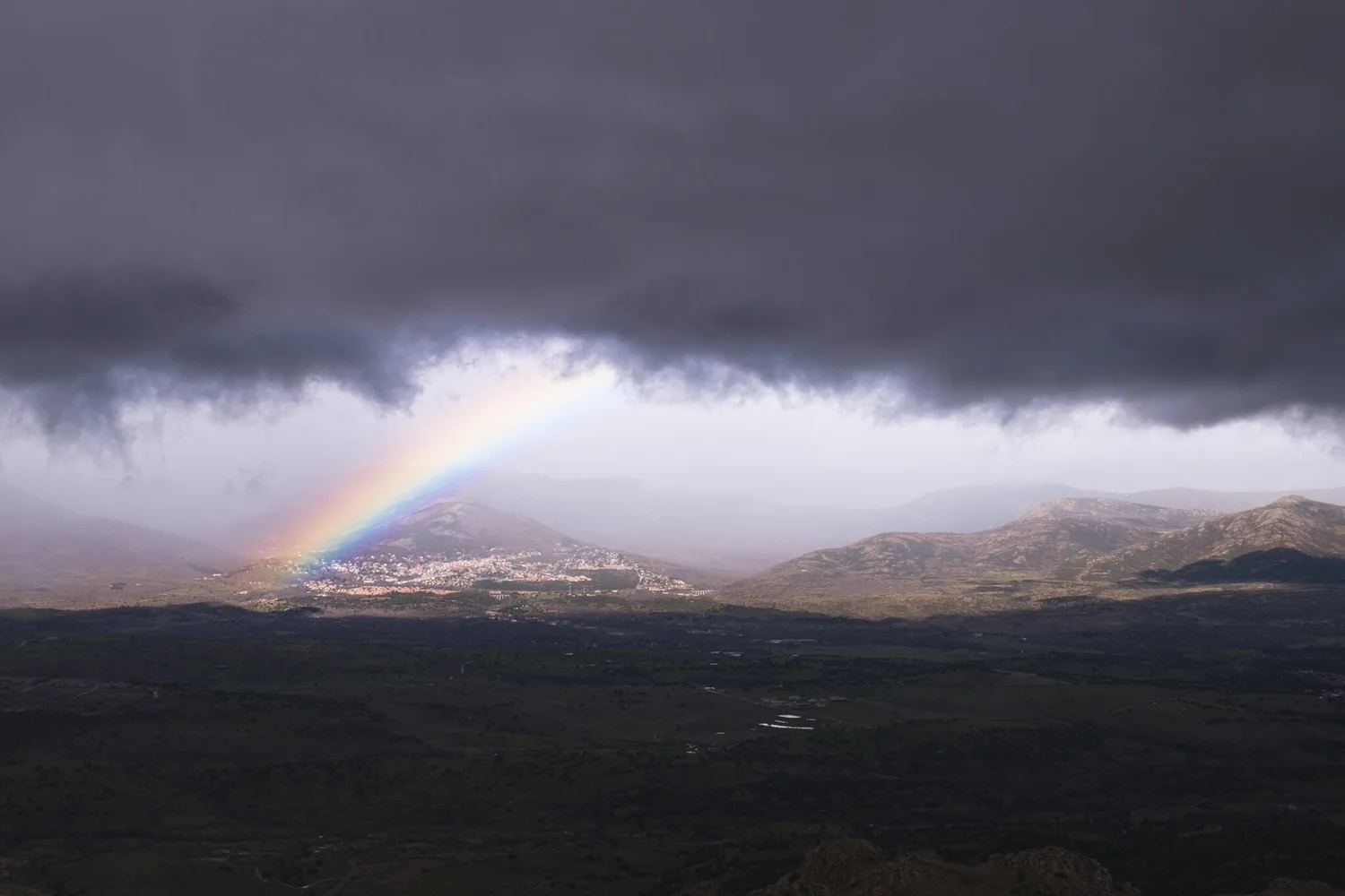 _DSF0906.jpg