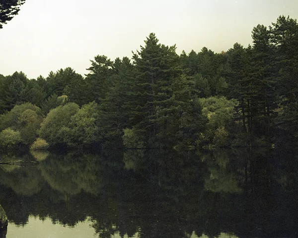 06.jpg
