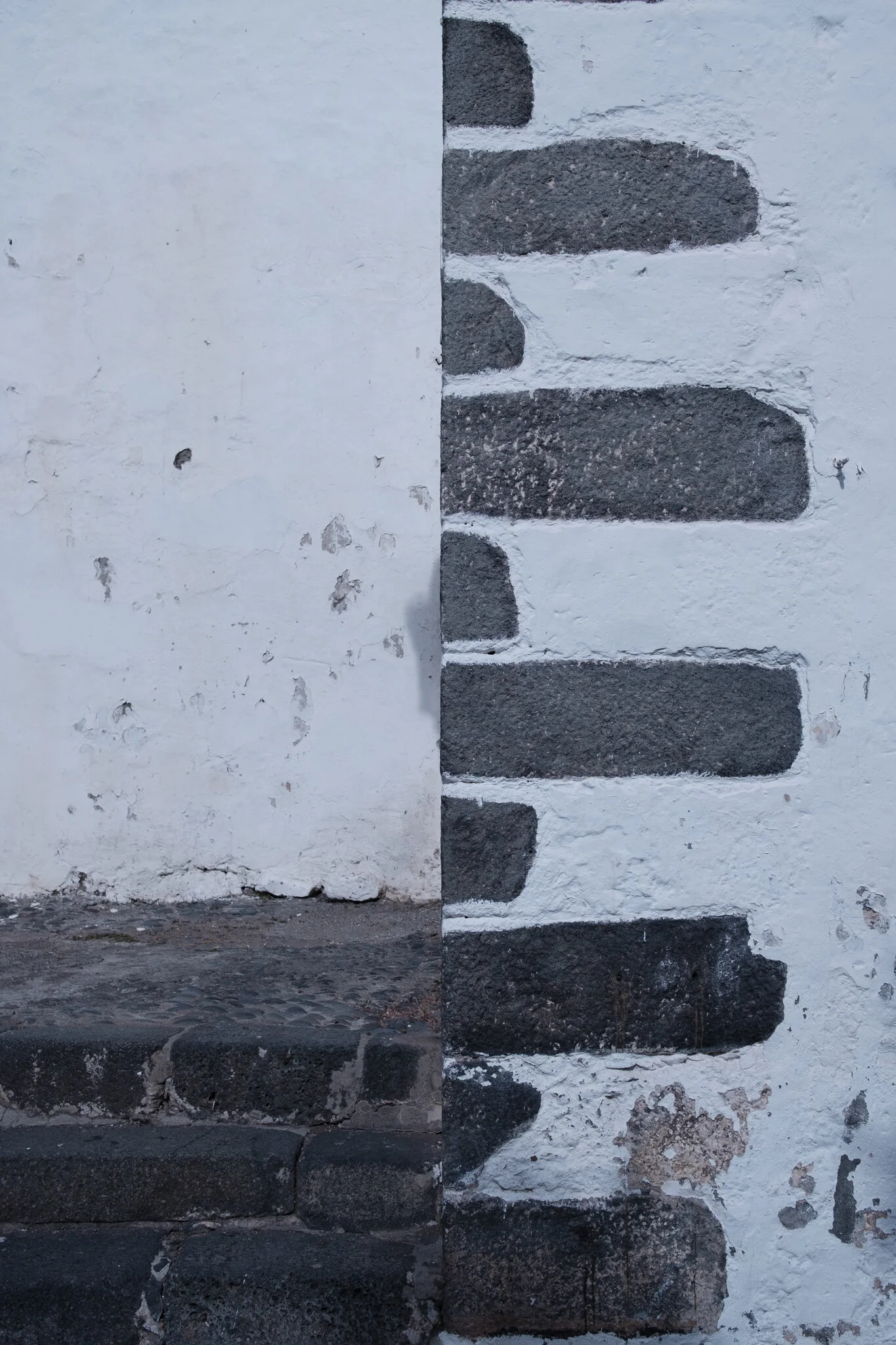 _DSF1784-2.jpg