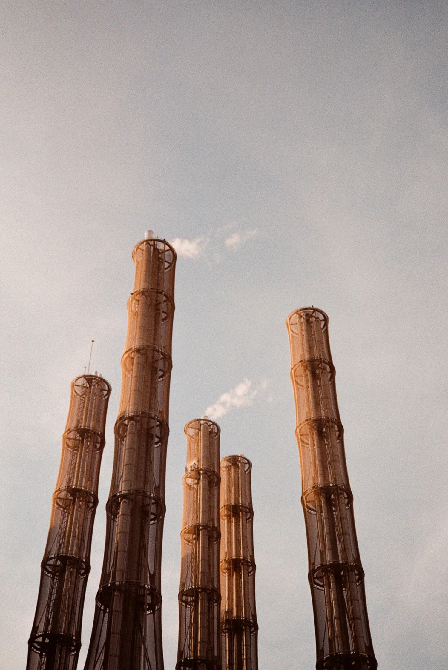 136571_036.jpg